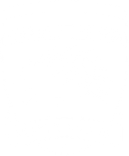 Porcupine logo